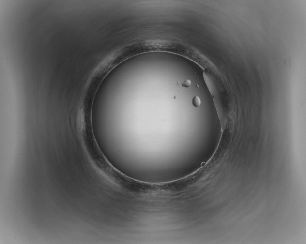 X0000111670734200907171613