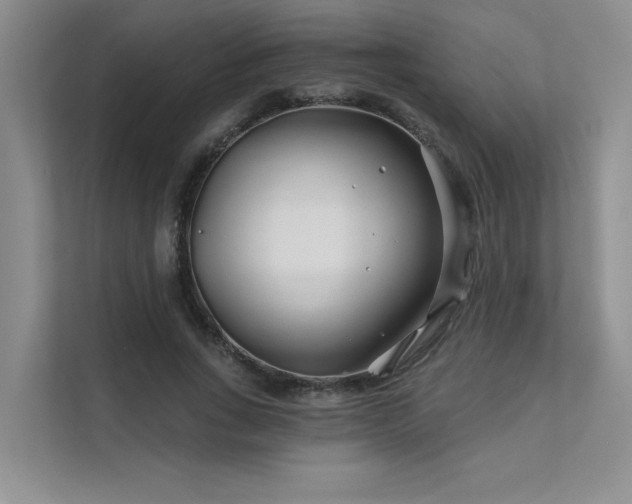 X0000111670735200907171613