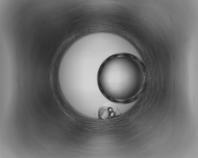 X0000111670736200907171613