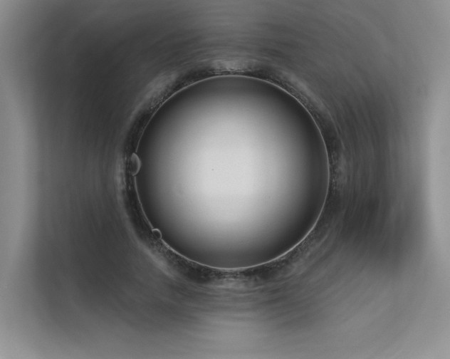 X0000111670738200907171613