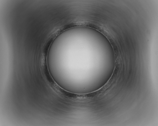 X0000111670744200907171613