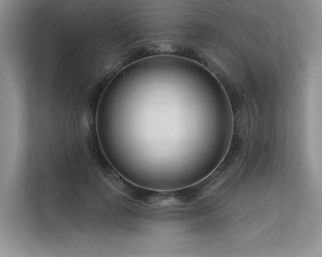 X0000111670747200907171613