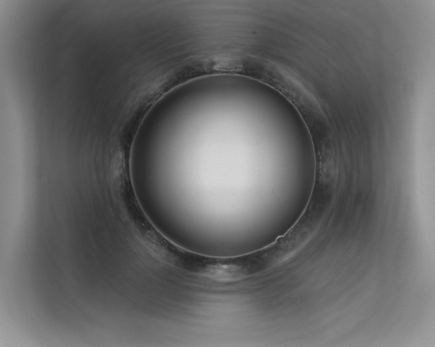 X0000111670748200907171613