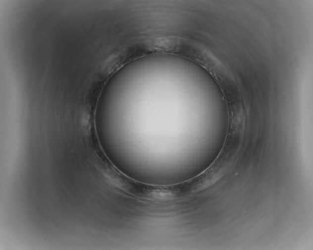 X0000111670749200907171613