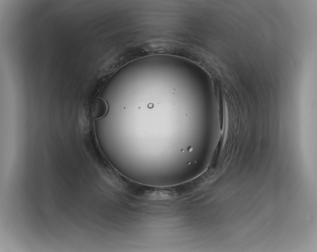 X0000111670751200907171613