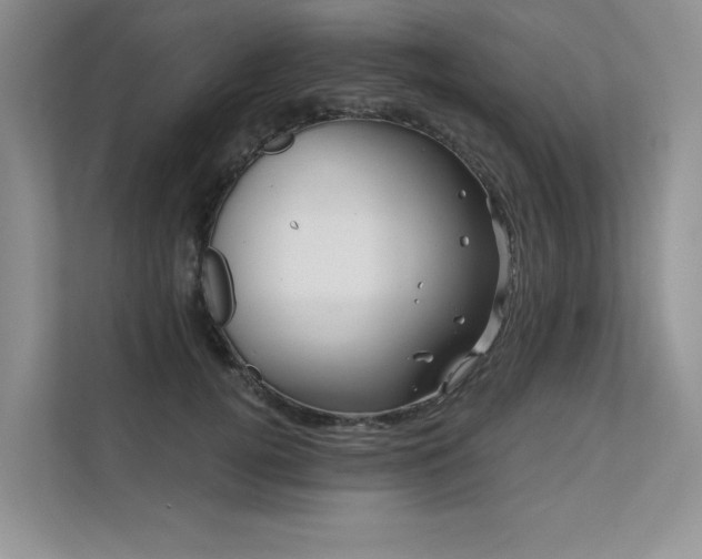 X0000111670752200907171613