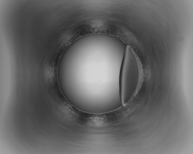 X0000111670756200907171613