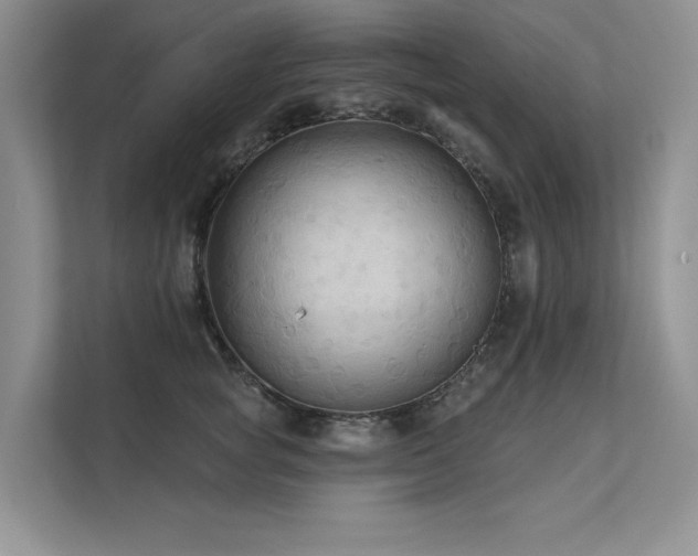 X0000111670757200907171613