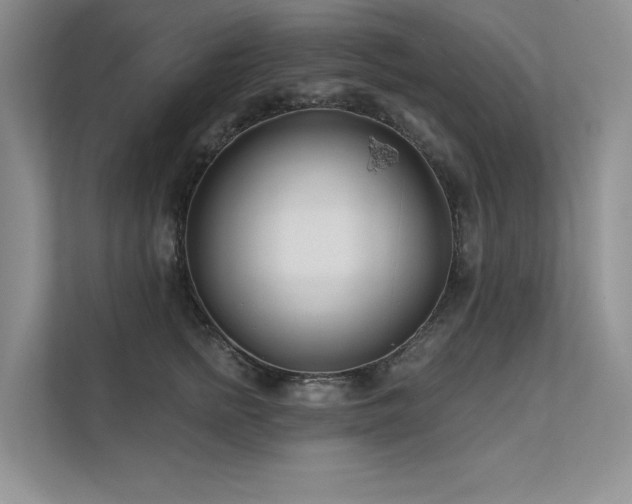 X0000111670758200907171613