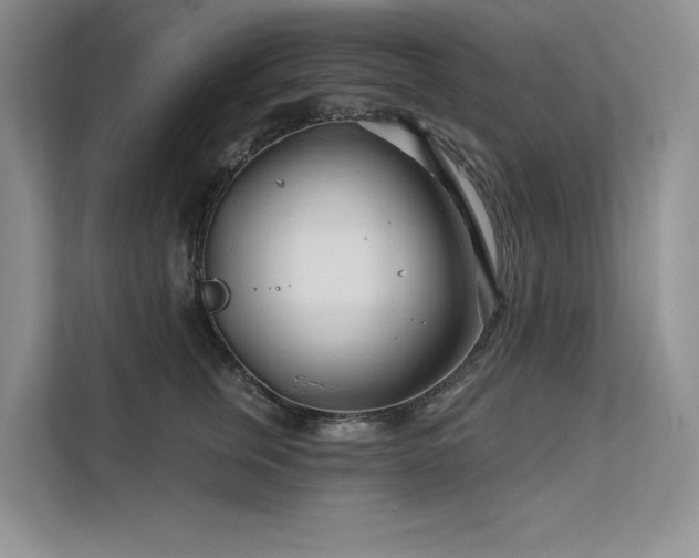 X0000111670759200907171613