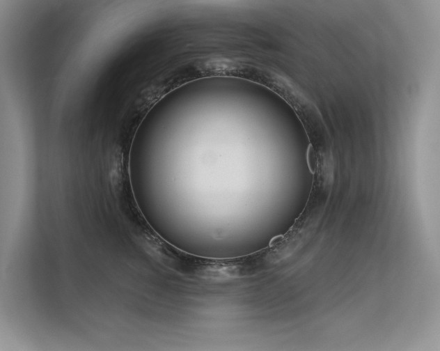 X0000111670760200907171613