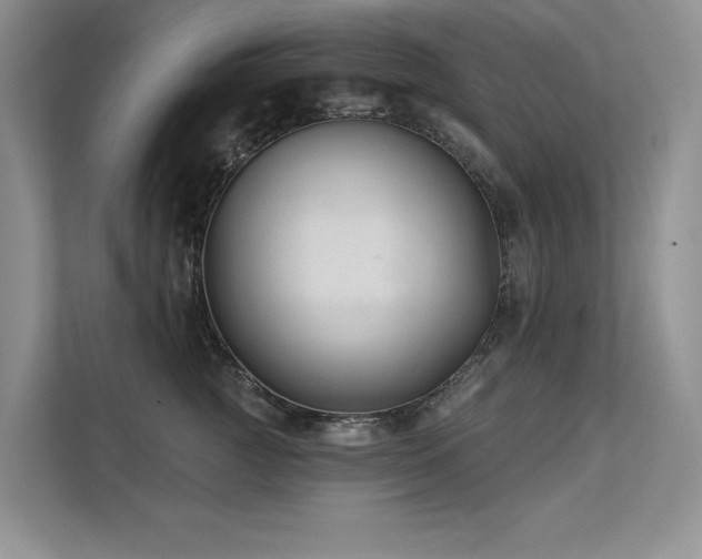 X0000111670761200907171613