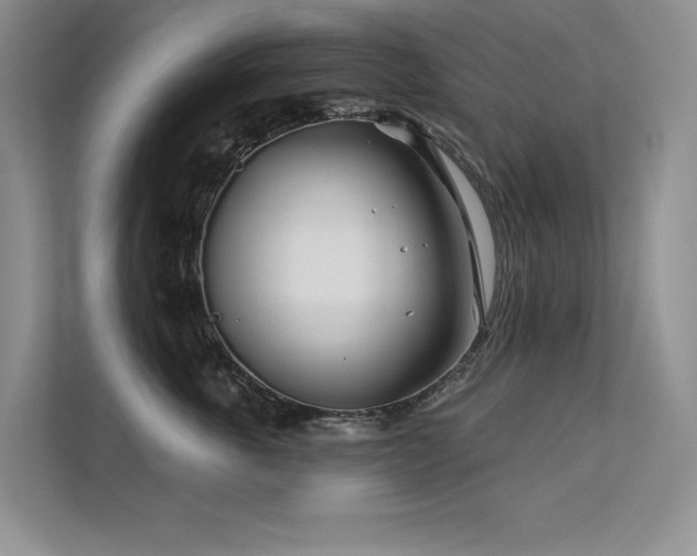 X0000111670763200907171613