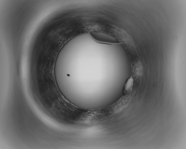 X0000111670764200907171613