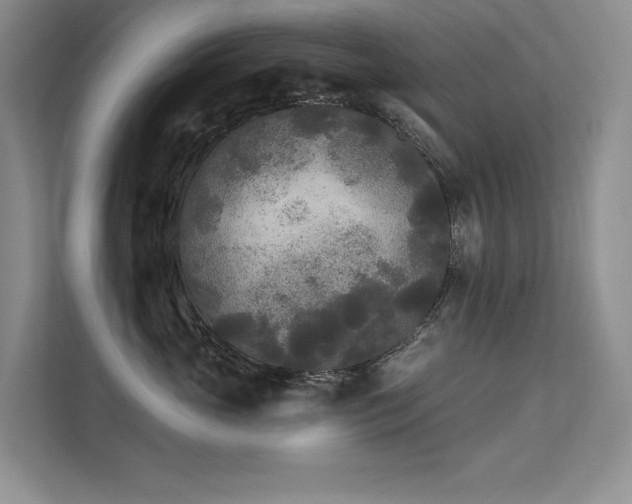 X0000111670765200907171613