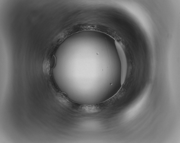 X0000111670767200907171613