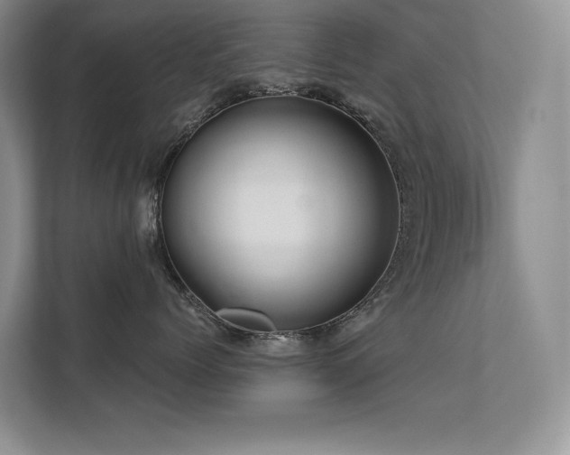 X0000111670768200907171613