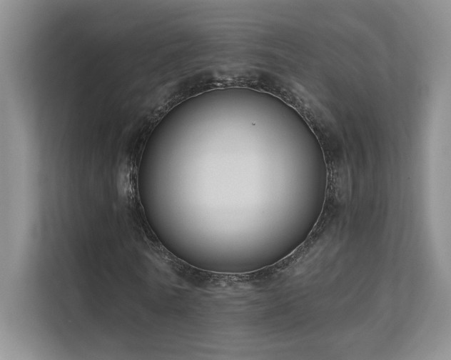 X0000111670770200907171613