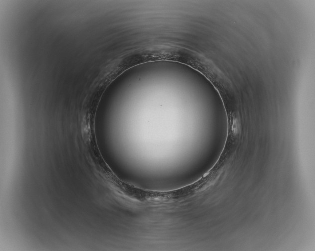 X0000111670771200907171613