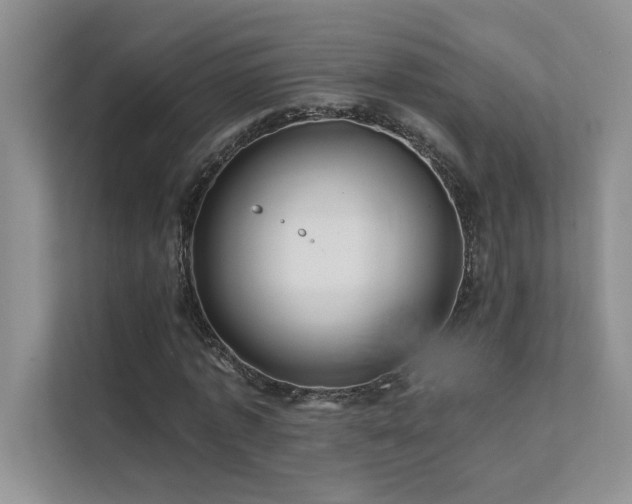 X0000111670773200907171613