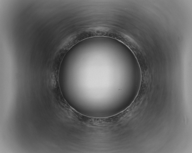 X0000111670774200907171613