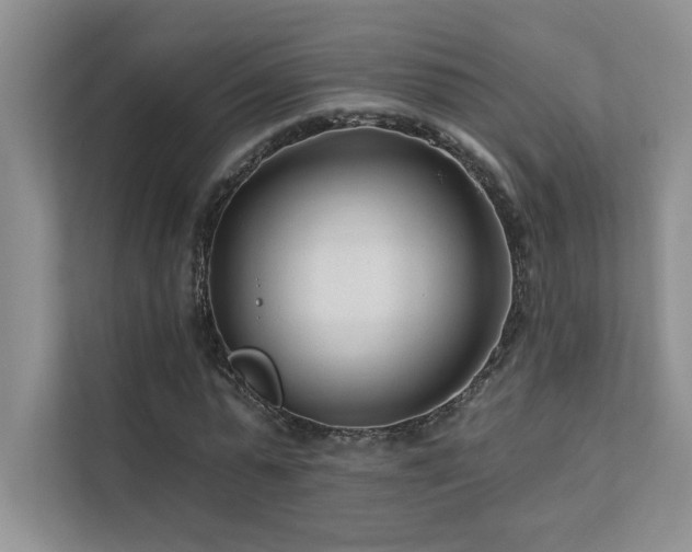 X0000111670775200907171613