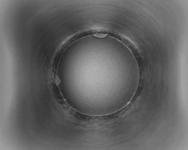 X0000111670776200907171613