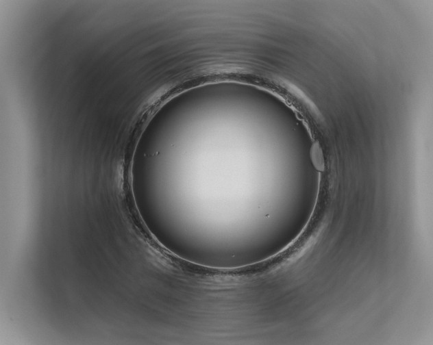 X0000111670777200907171613