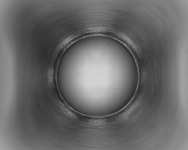 X0000111670778200907171613