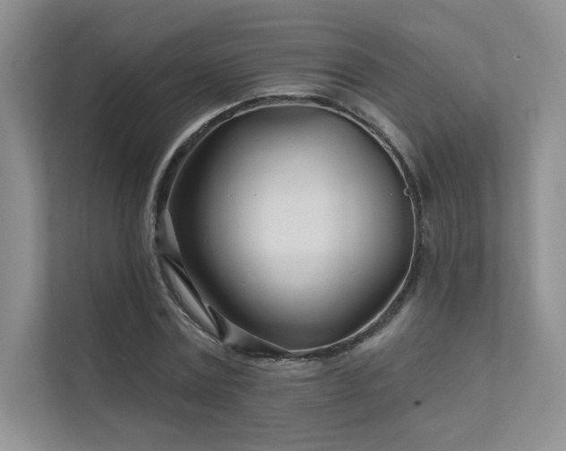 X0000111670779200907171613