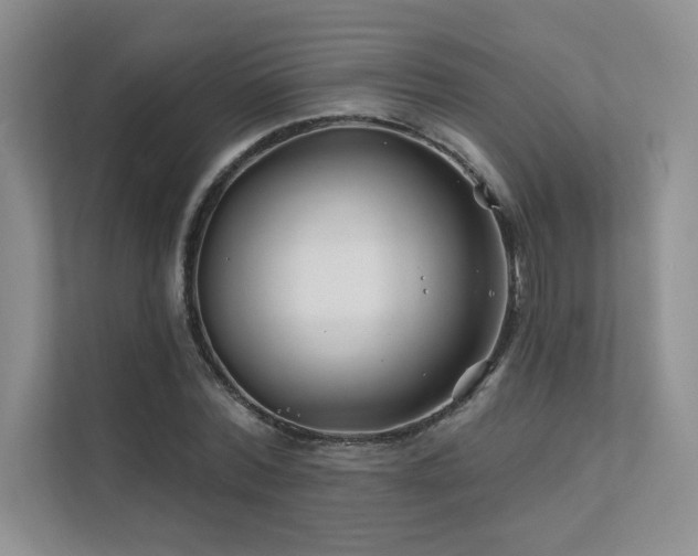 X0000111670780200907171613