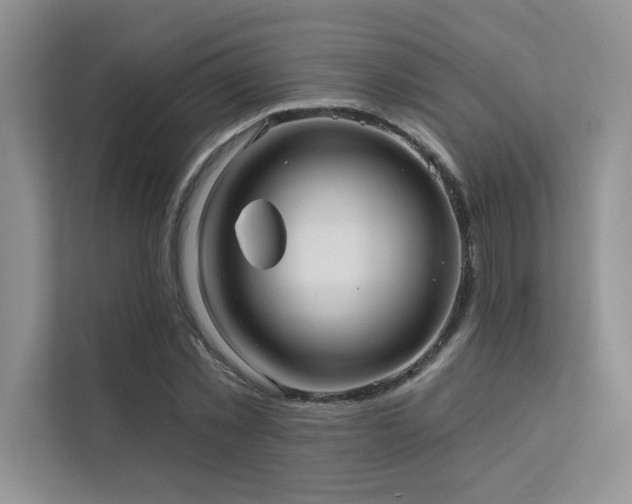 X0000111670781200907171613