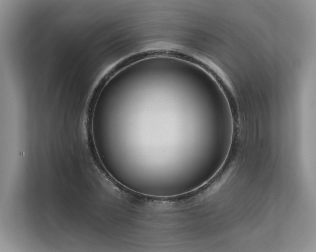 X0000111670783200907171612