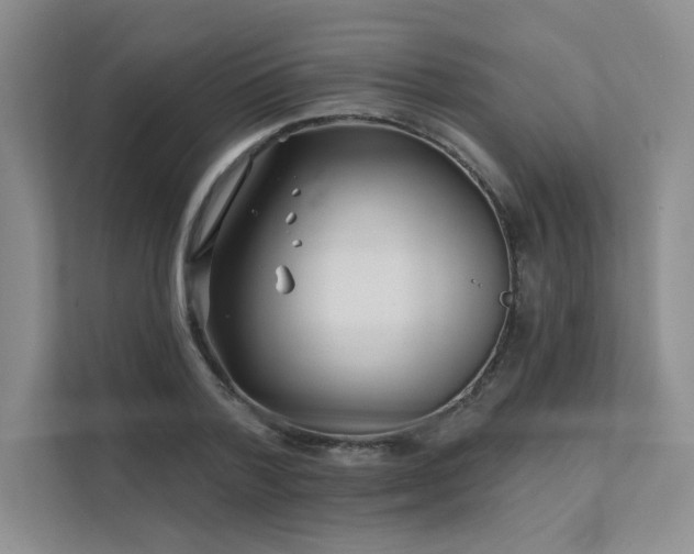 X0000111670788200907171612