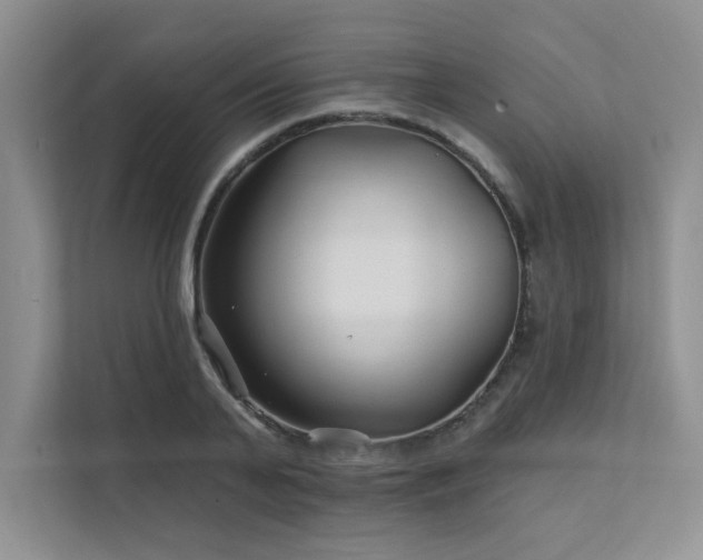 X0000111670791200907171612