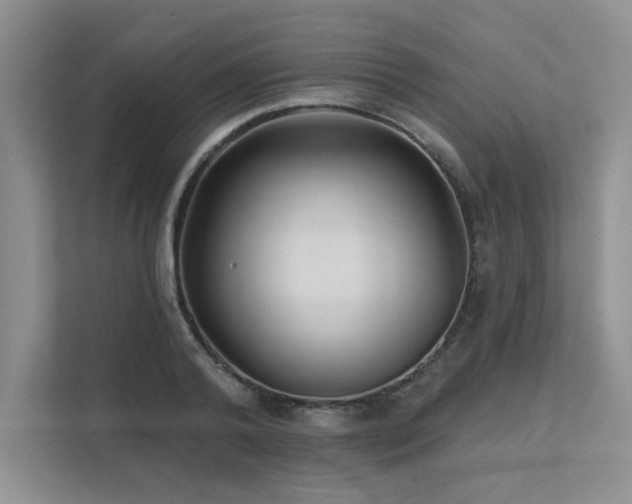 X0000111670792200907171612