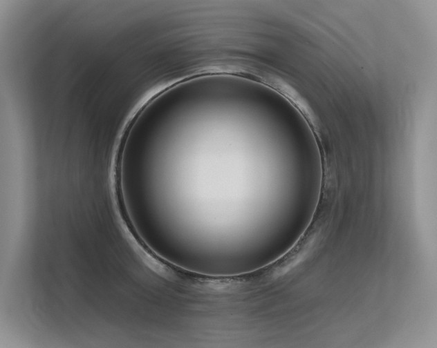 X0000111670803200907171612