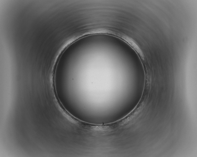 X0000111670805200907171612