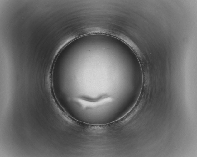 X0000111670806200907171612