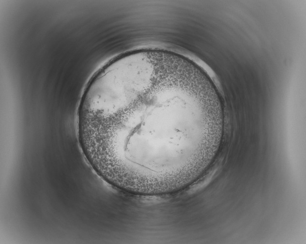 X0000111670807200907171612