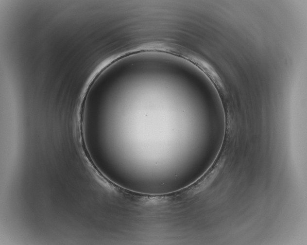 X0000111670808200907171612