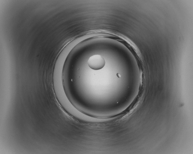 X0000111670809200907171612