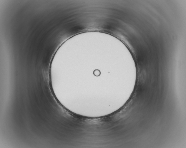 X0000111670810200907171612