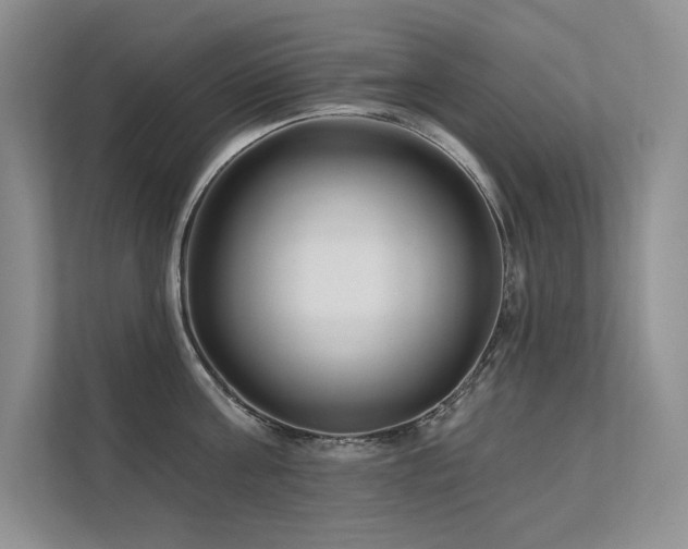 X0000111670811200907171612