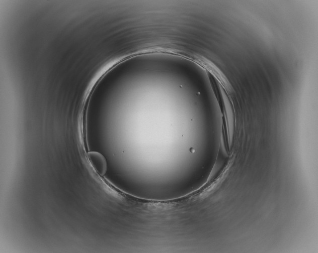 X0000111670812200907171612