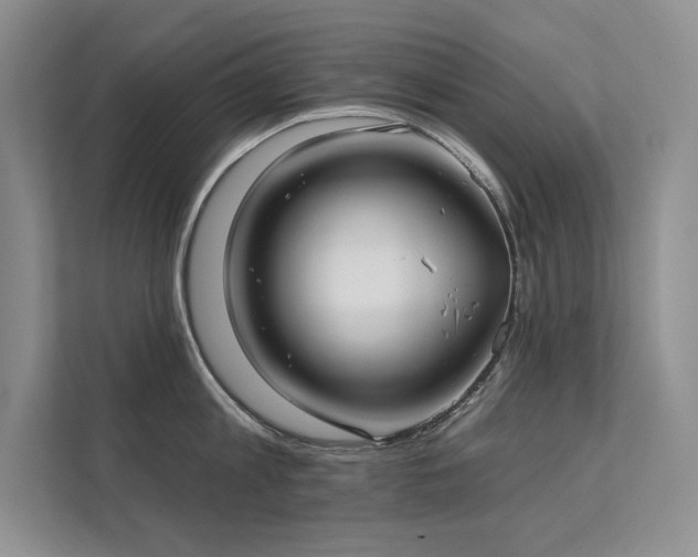 X0000111670813200907171612