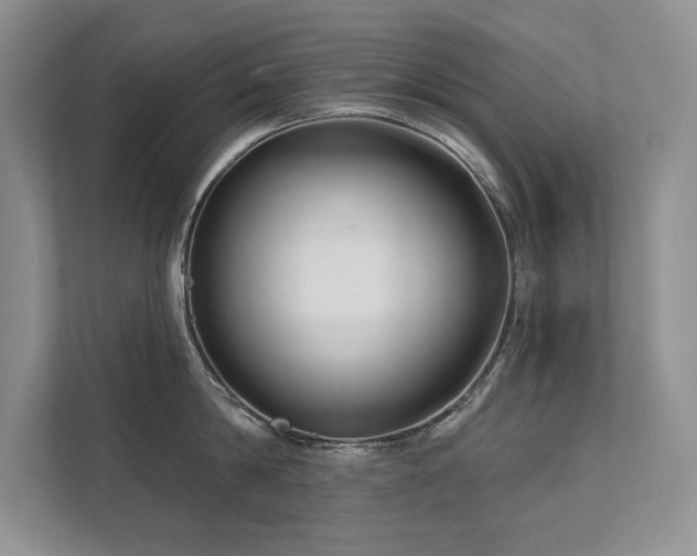 X0000111670814200907171612