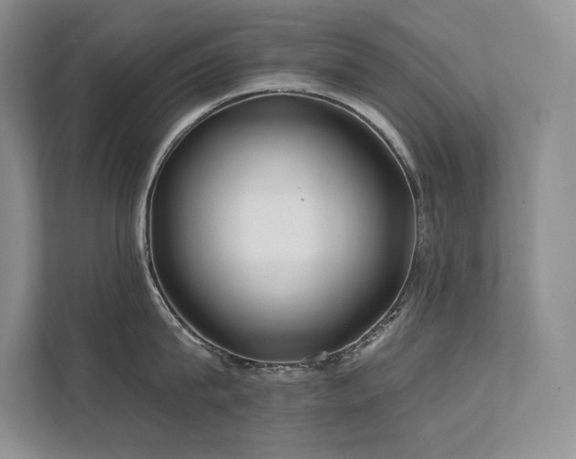 X0000111670815200907171612