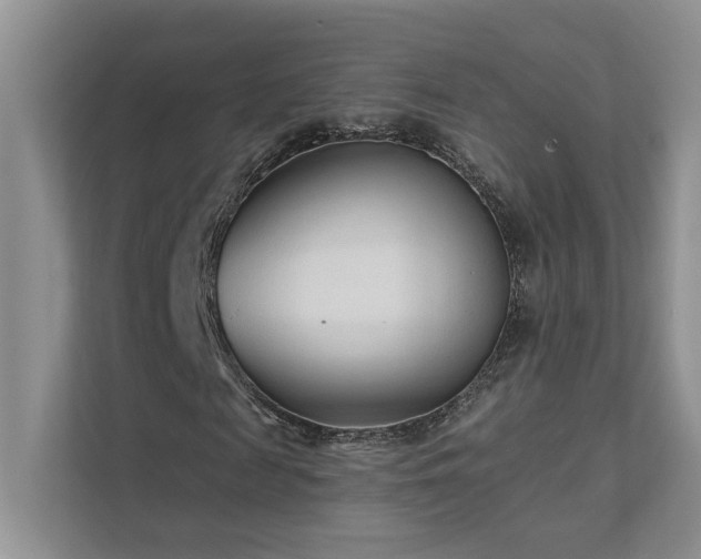 X0000111670817200907171611