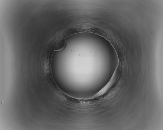 X0000111670818200907171611